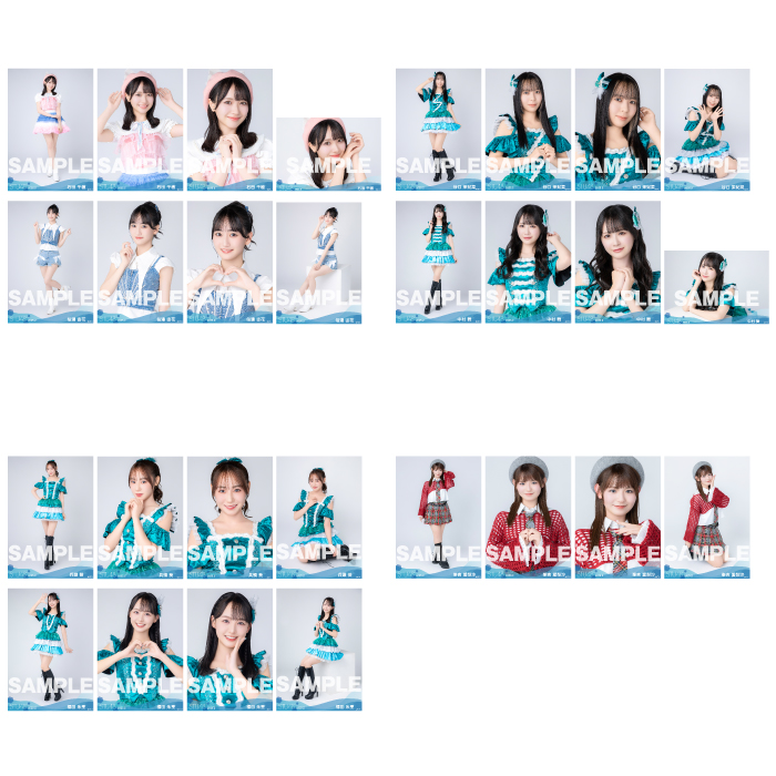 【通常配送】STU48 2025年2月度ランダム生写真5枚セット