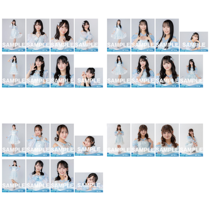 【ネコポス便】STU48 2025年3月度ランダム生写真5枚セット