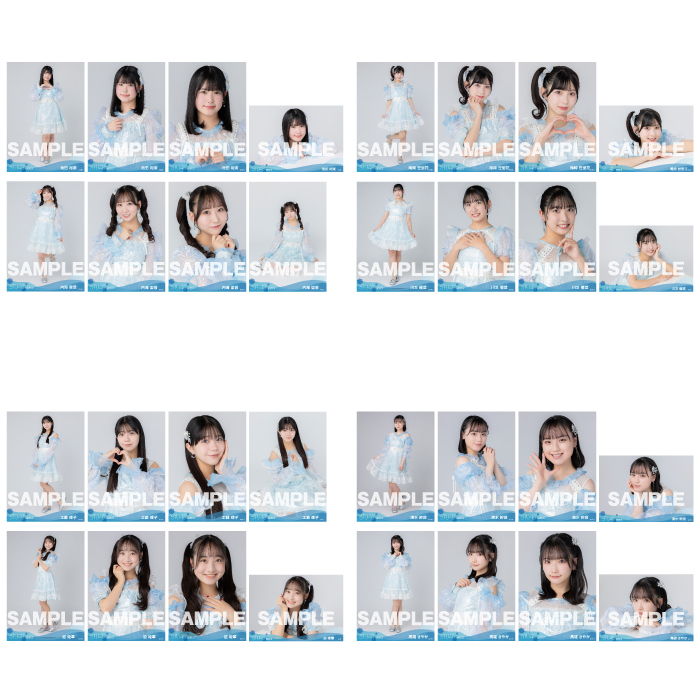 【ネコポス便】STU48 2025年3月度ランダム生写真5枚セット