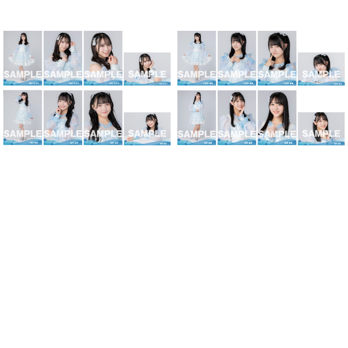 【ネコポス便】STU48 2025年3月度ランダム生写真5枚セット