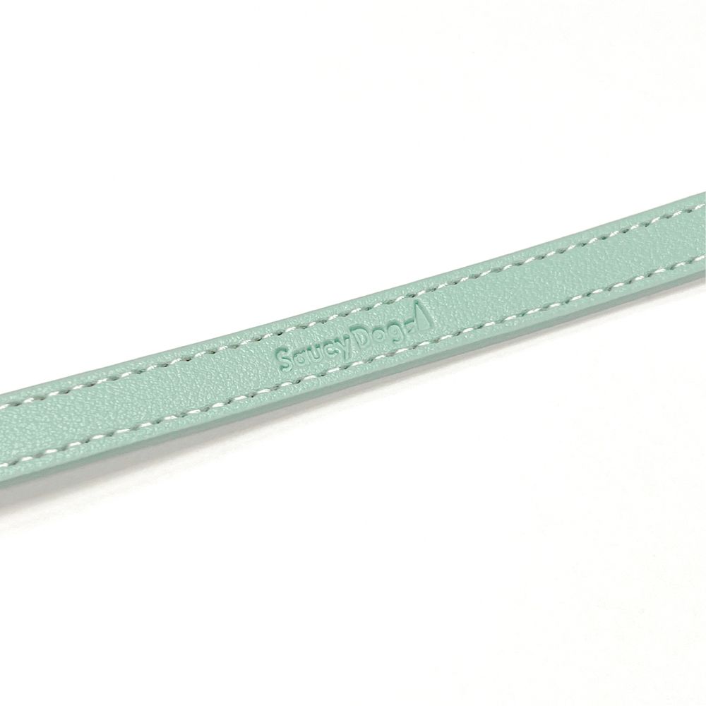 首輪風レザーブレス/パステルブルー