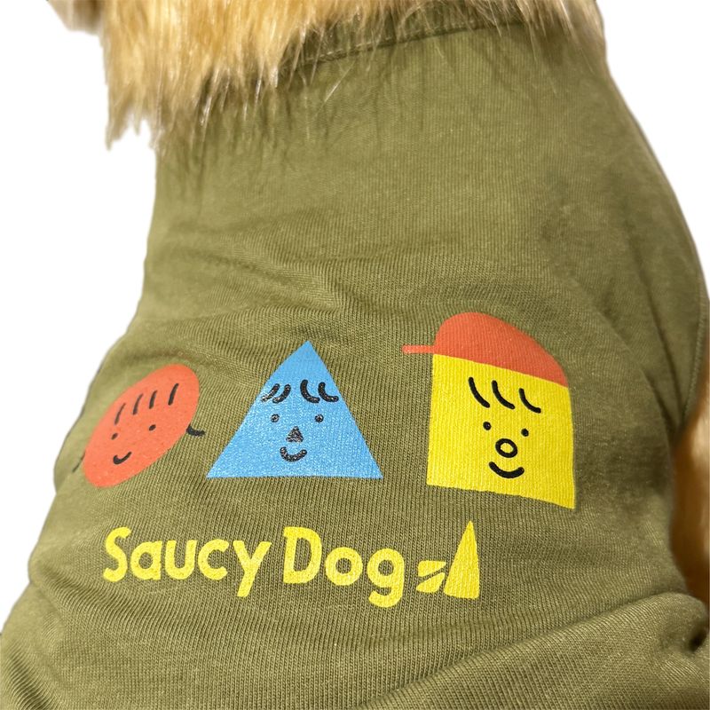 【15】Saucy Dog ドッグウェア
