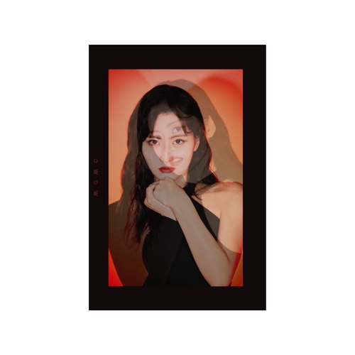 TWICE WORLD TOUR 2019 ‘TWICELIGHTS’ IN JAPAN TWICE PHOTO BOOK 'TWICELIGHTS' 【MOMO】