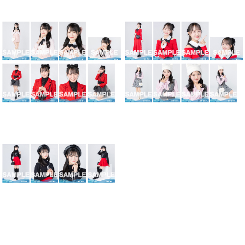 【通常配送】STU48 2024年2月度ランダム生写真5枚セット