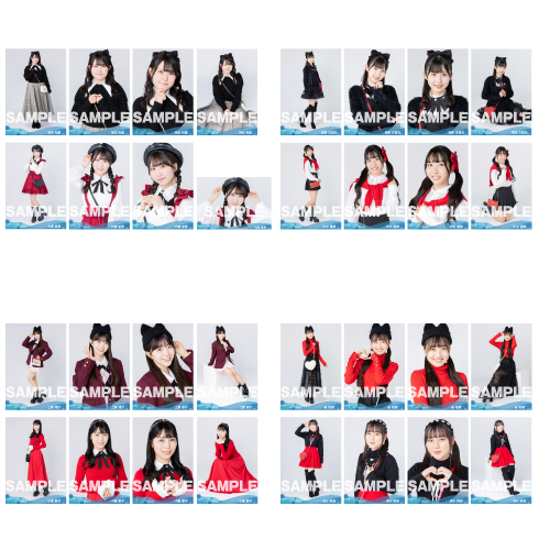 【通常配送】STU48 2024年2月度ランダム生写真5枚セット