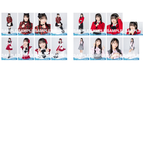 【通常配送】STU48 2024年2月度ランダム生写真5枚セット