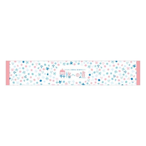 STU48 【2期研究生 夏の瀬戸内ツアー 昇格への道】 マフラータオル