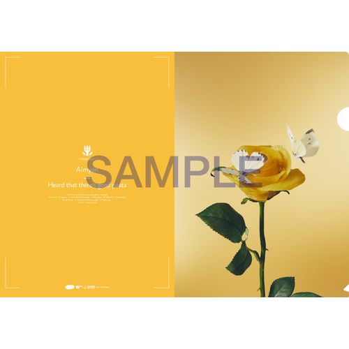 商品詳細ページ | AIMYON OFFICIAL ONLINE STORE 'AIM STORE' | 【AIM