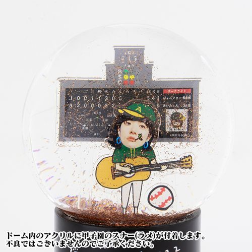 【甲子園記念】甲子園のスナードーム