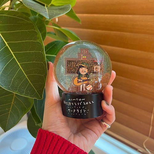 【甲子園記念】甲子園のスナードーム