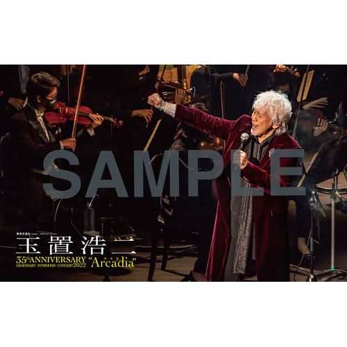 【CD+DVD】安全地帯「あなたがどこかで」※FC会員特典付