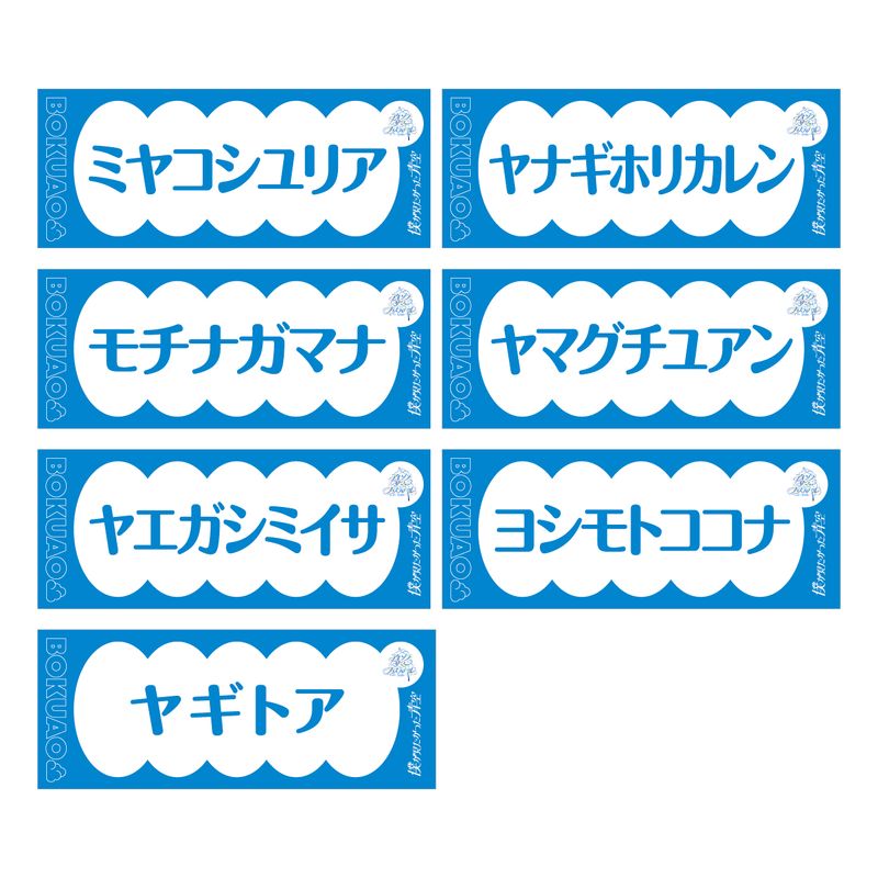 【通常配送】「アオゾラサマーフェスティバル2024」推しアピタオル