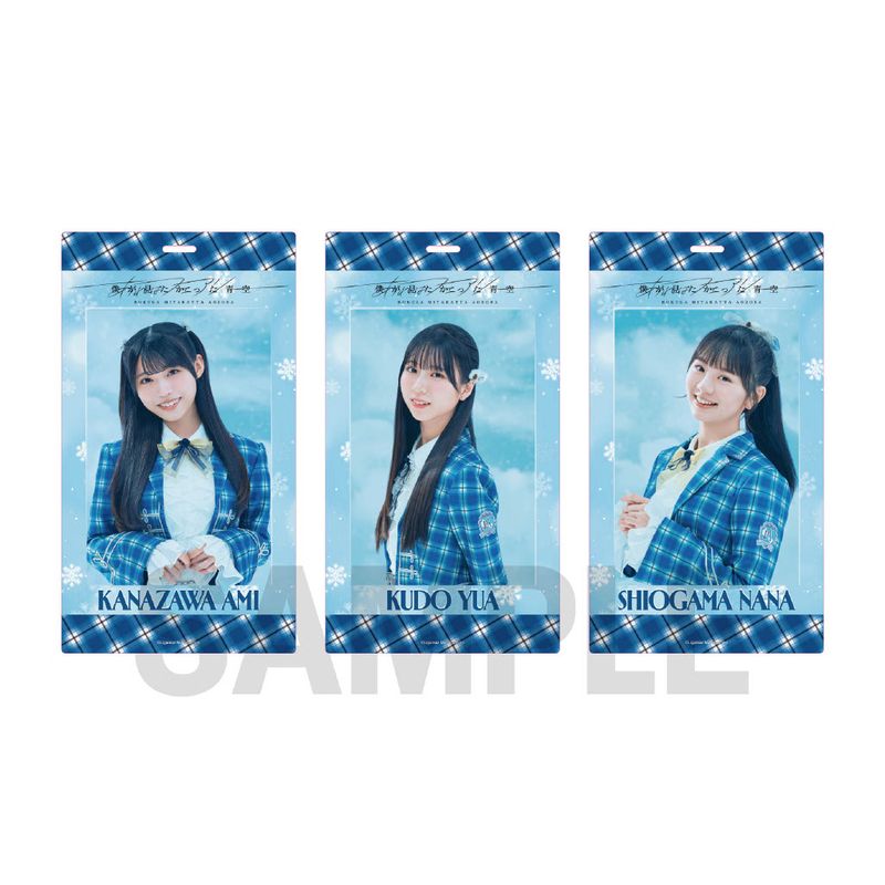 【通常配送】「あれはフェアリー」個別チケットホルダー