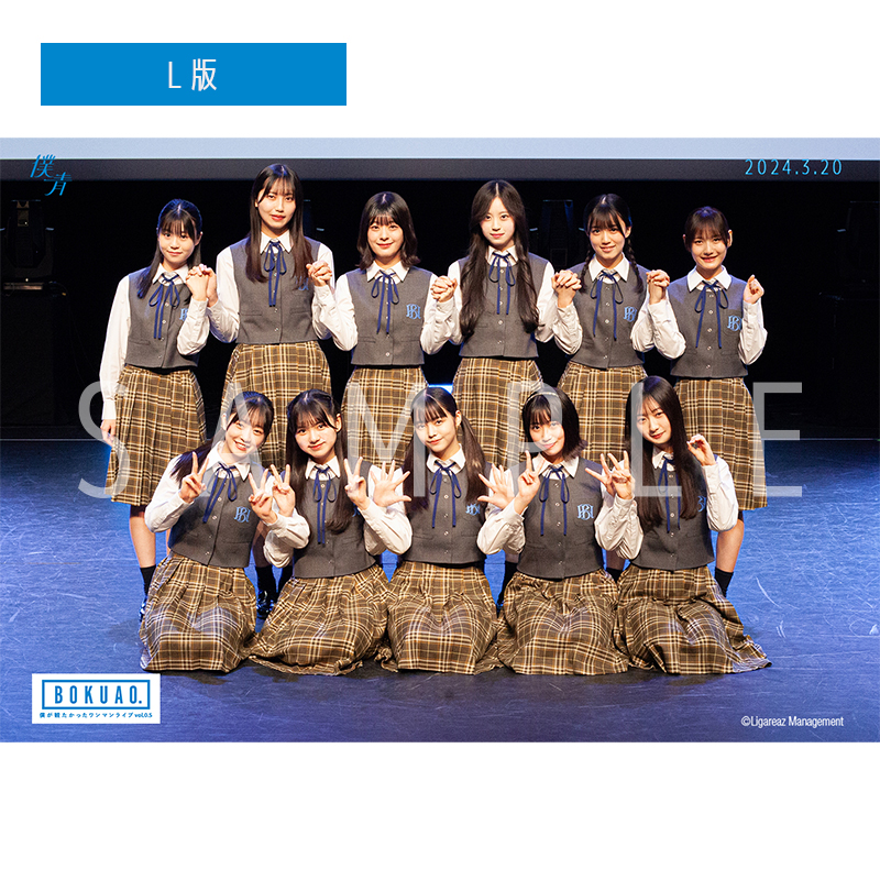 【通常配送】僕が観たかったワンマンライブ vol.0.5【雲組】 撮って出し写真(L判+2L判セット)