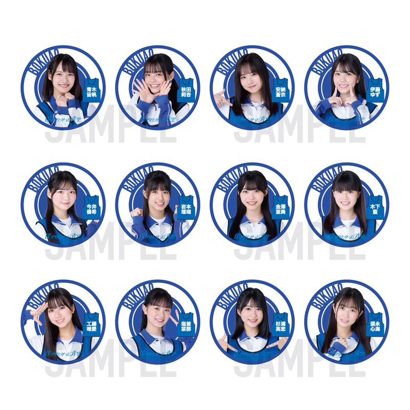 商品詳細ページ | 僕が見たかった青空 Official Goods Shop | 【通常