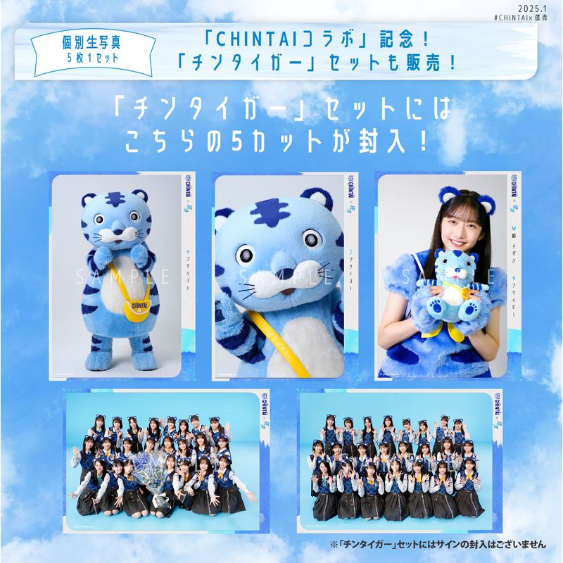 【通常配送】1月個別生写真(5枚1セット)【CHINTAIコラボ】