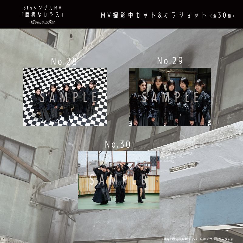 【ネコポス便】7月ランダム生写真(5枚1セット)【5thシングルMV「臆病なカラス」】