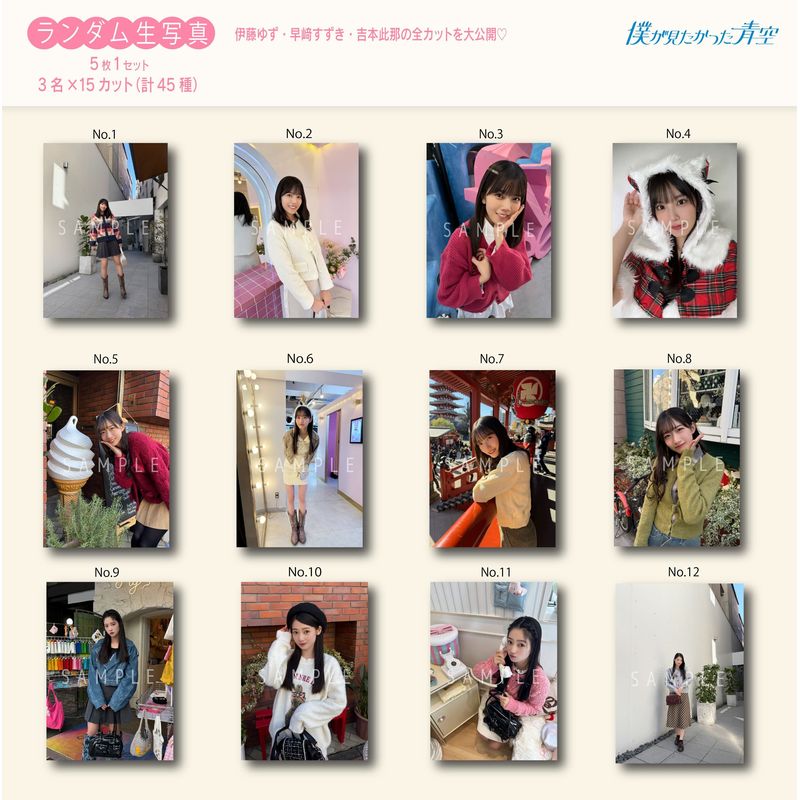 【通常配送】12月ランダム生写真(5枚1セット)【ブルシス#3】