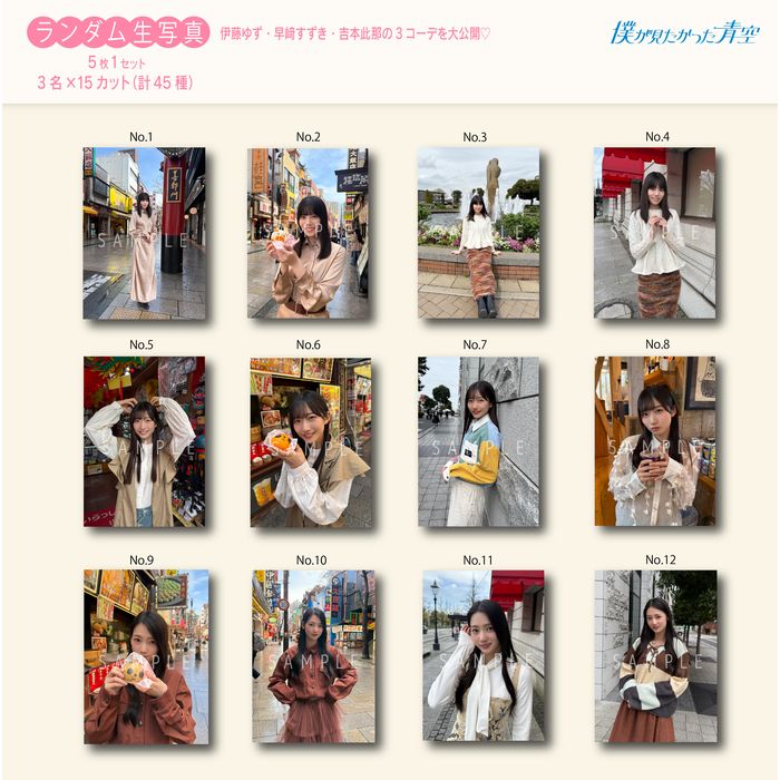 【通常配送】1月ランダム生写真(5枚1セット)【ブルシス#4】