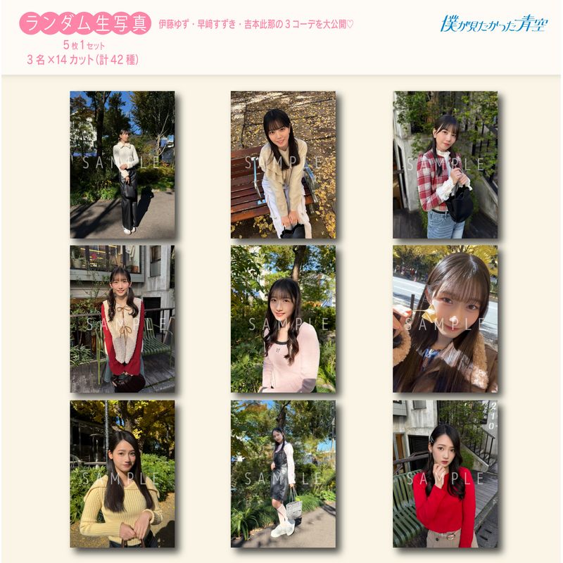 【ネコポス便】9月ランダム生写真(5枚1セット)【ブルシス#2】