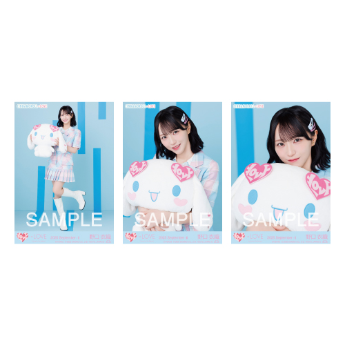 生写真セット（シナモロールコラボ2025）