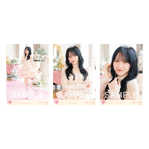 生写真セット(20thcw「お姫様の作り方」)