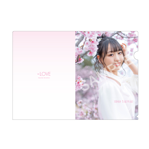 ランダムクリアファイル(「桜の咲く音がした」衣装)