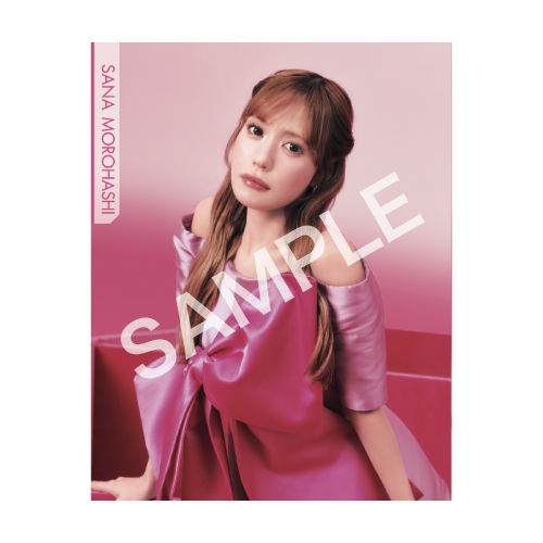 =LOVE STADIUM LIVE PHOTO BOOK