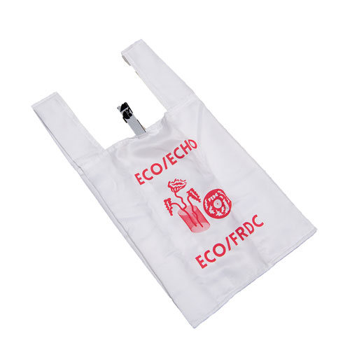 ECHO/ECO BAG