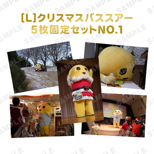 【274ch.会員限定】バスツアーふなっしー旅の想い出写真 L版5枚固定セットNO.1