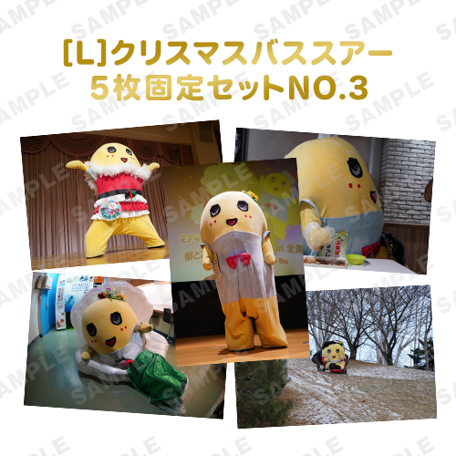 【274ch.会員限定】バスツアーふなっしー旅の想い出写真 L版5枚固定セットNO.3