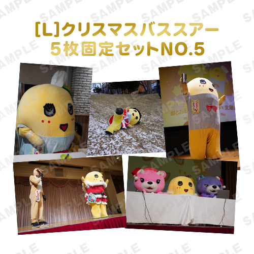 【274ch.会員限定】バスツアーふなっしー旅の想い出写真 L版5枚固定セットNO.5