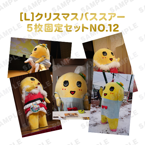 【274ch.会員限定】バスツアーふなっしー旅の想い出写真 L版5枚固定セットNO.12