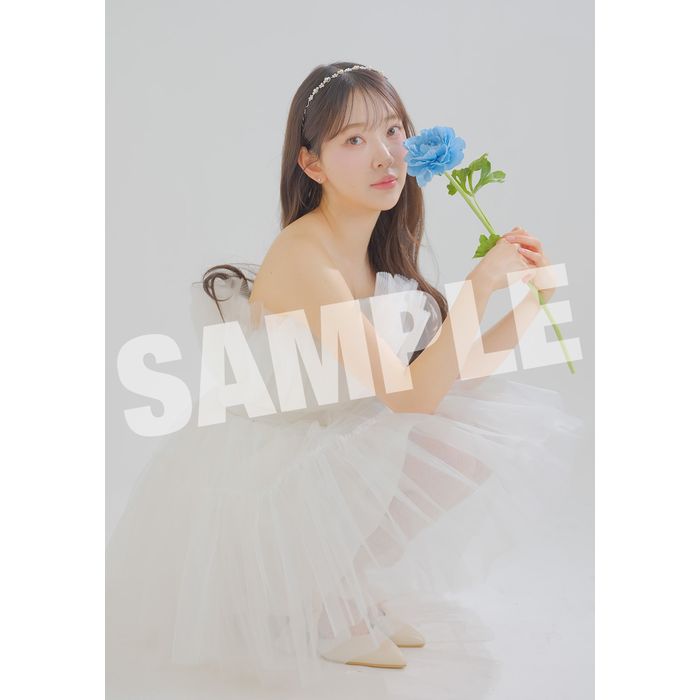 【堀未央奈】生写真A(2026年4月)5枚セット