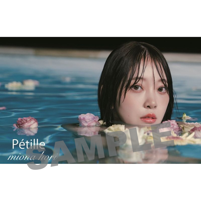 堀未央奈デジタルフォトブック『Petille』 表紙A