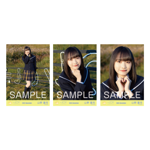 商品詳細ページ | ≒JOY OFFICIAL SHOP | 生写真セット(「きっと、絶対