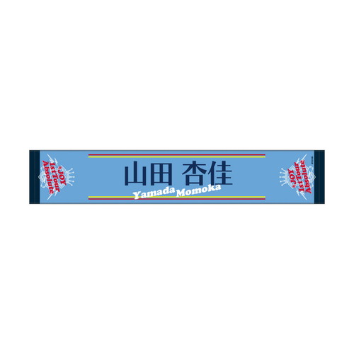 1st Tour 個別マフラータオル