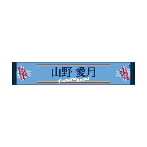 1st Tour 個別マフラータオル