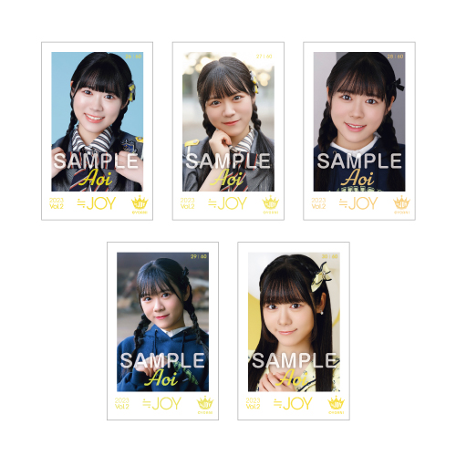 ≒JOY ミニフォトカード Vol.2