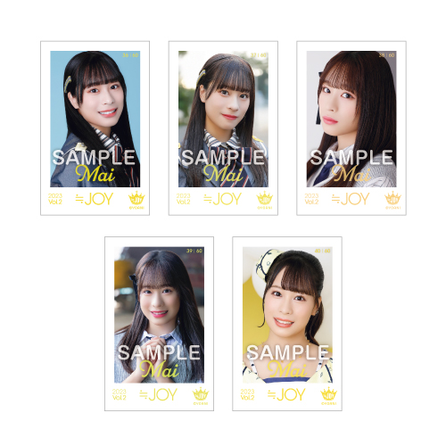 ≒JOY ミニフォトカード Vol.2