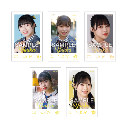 ≒JOY ミニフォトカード Vol.2