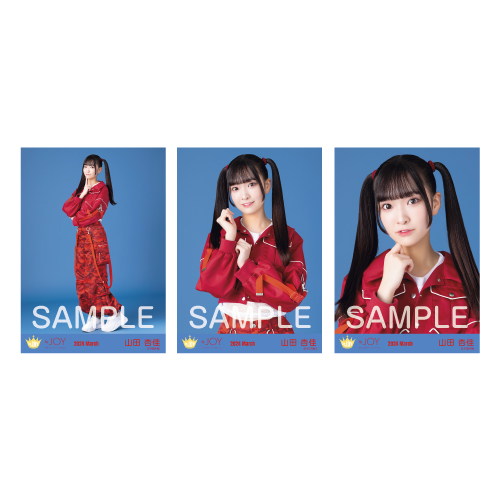 商品詳細ページ | ≒JOY OFFICIAL SHOP | 生写真セット（「無謀人」衣装）