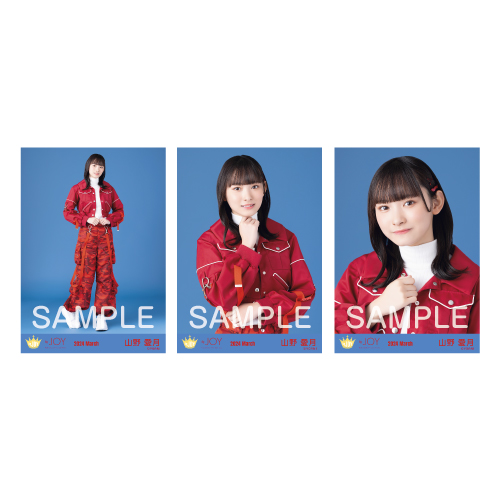 商品詳細ページ | ≒JOY OFFICIAL SHOP | 生写真セット（「無謀人」衣装）