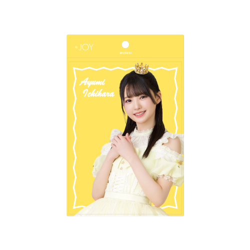 個別生写真ホルダー(2周年コンサート衣装)