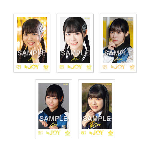 ≒JOY ミニフォトカード Vol.4