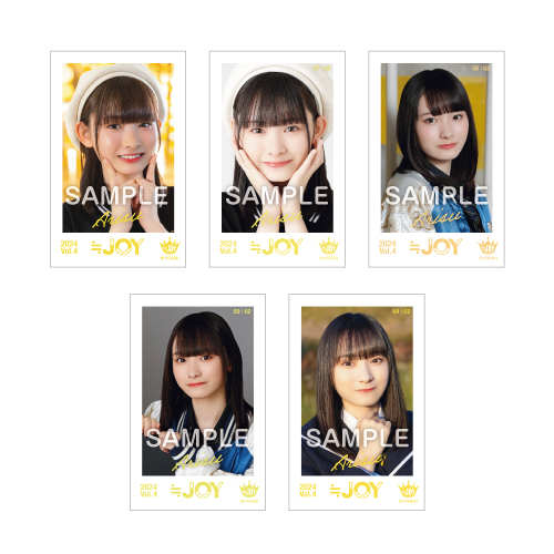 ≒JOY ミニフォトカード Vol.4