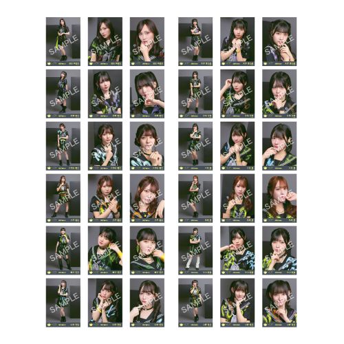 生写真セット（「イコノイジョイ 2024」衣装）