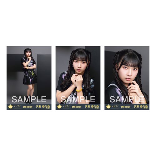 生写真セット（「イコノイジョイ 2024」衣装）