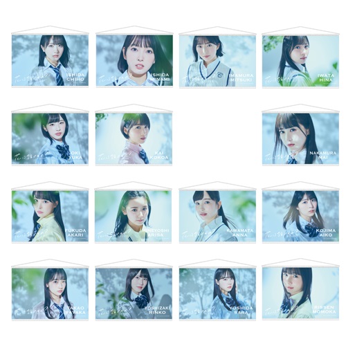 STU48 8th Single「花は誰のもの?」個別A3タペストリー