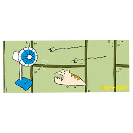 レンちゃんJrのあ"ーーータオル